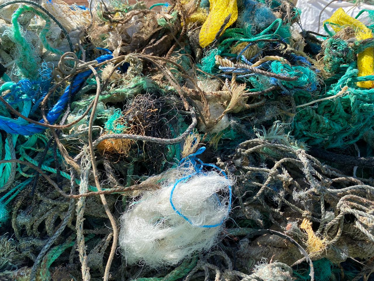 07 03 2024 13 46 59 WhatsApp Image 2024 03 07 at 10.39.30