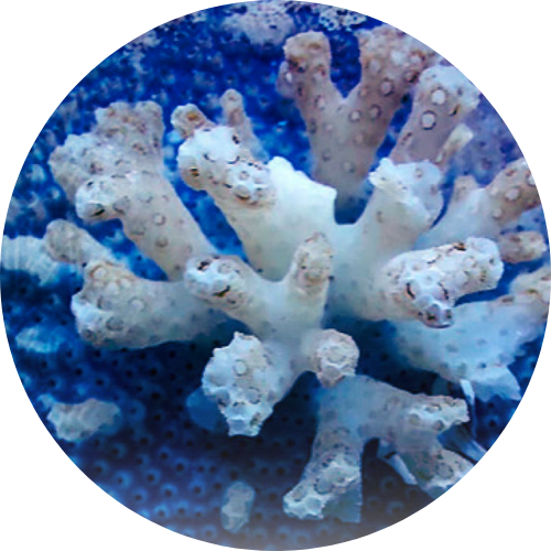 11 03 2024 14 56 47 6