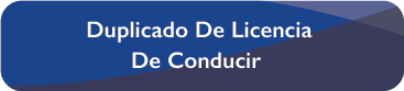 05 01 2022 12 36 14 RAPA NUI01 duplicado de la licencia