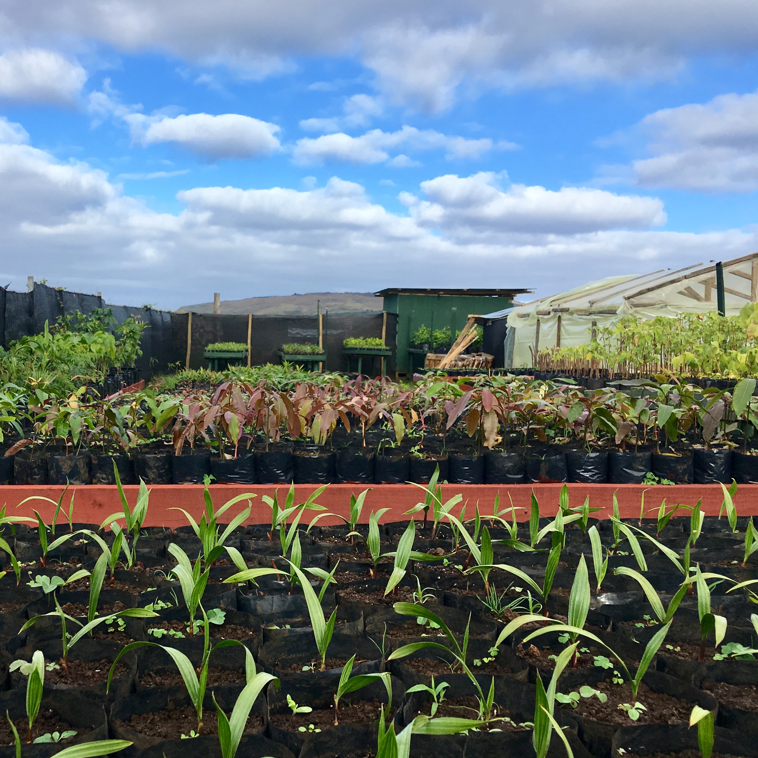 09 04 2022 17 57 47 vivero