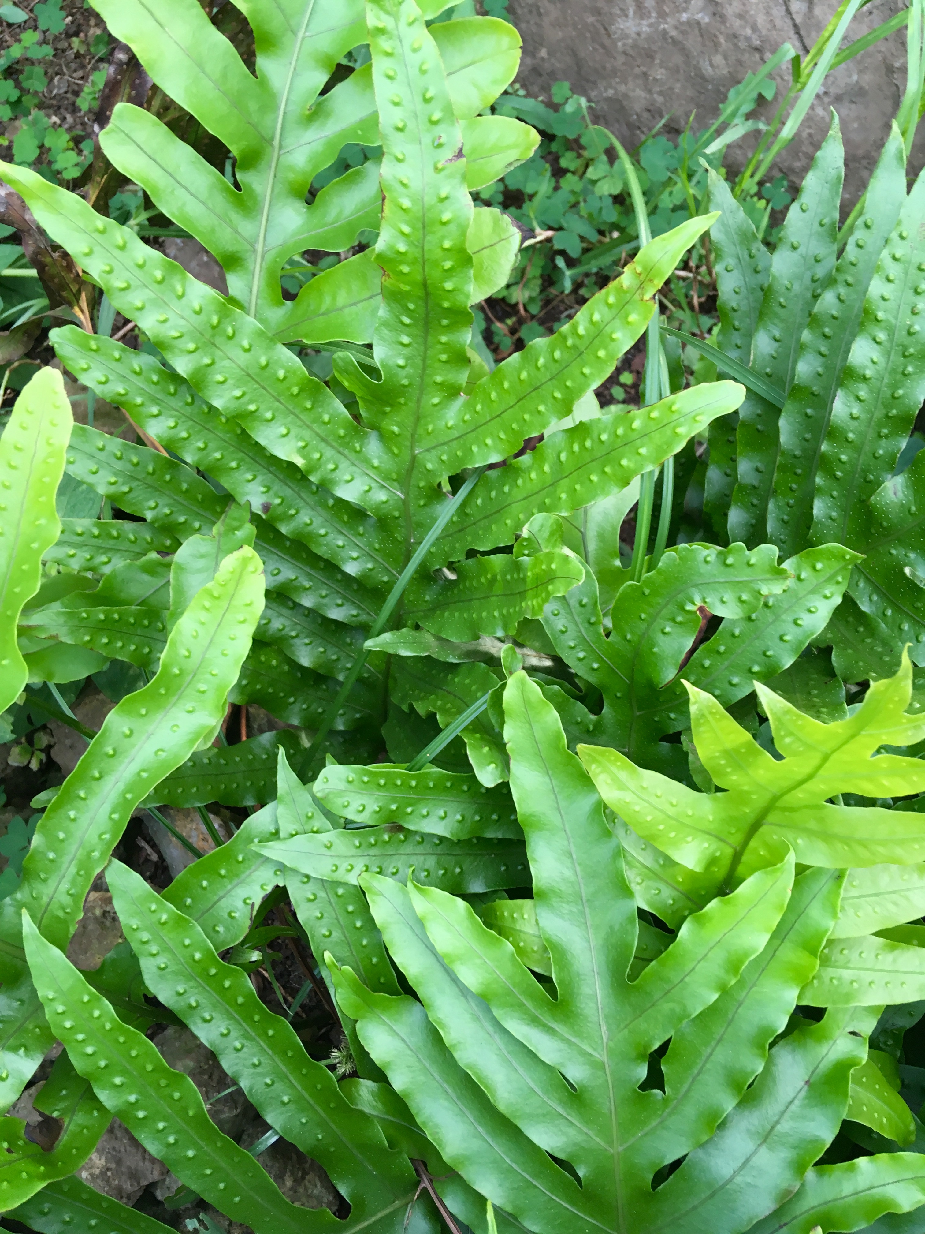 09 04 2022 18 01 11 vivero2