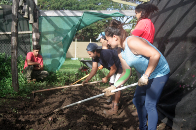 09 04 2022 19 39 41 Huertos familiares 2