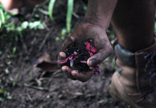 09 04 2022 19 41 37 Huertos familiares 4