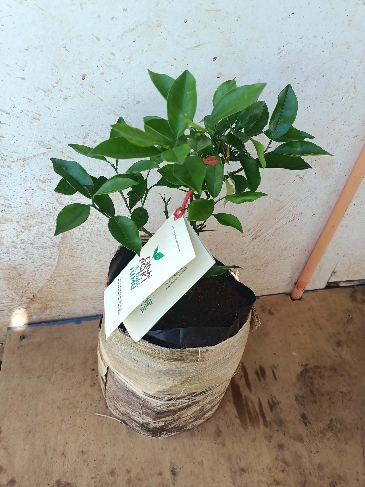 30 03 2023 15 37 11 IMG20221014114646 2