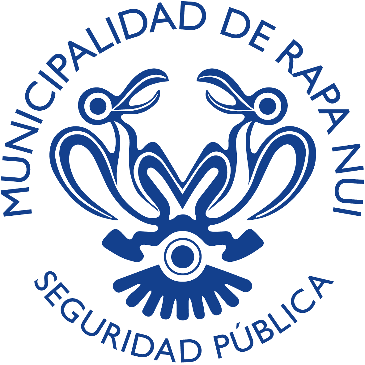 Seguridad Pública