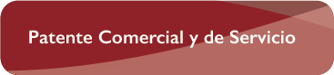 05 01 2022 12 50 28 RAPA NUI06 patente comercial de servicio